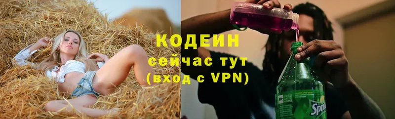 где найти   Краснослободск  Кодеиновый сироп Lean напиток Lean (лин) 